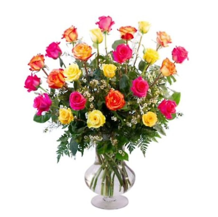 Two Dozen Mixed Colored Roses