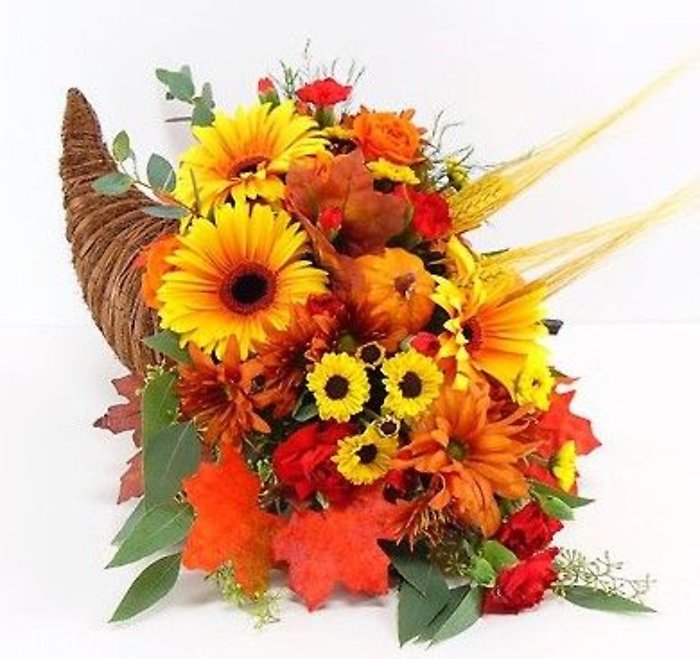 Cornucopia- Natures Bounty