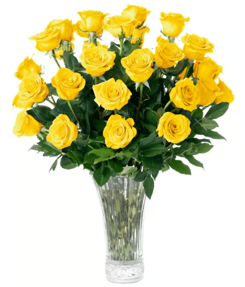 Two Dozen Yellow Roses