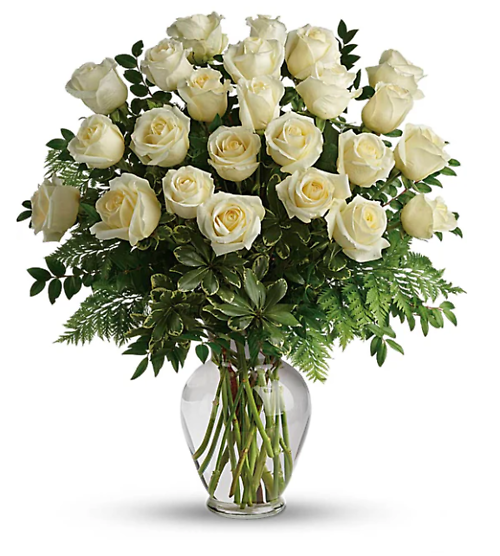 Two Dozen White Roses
