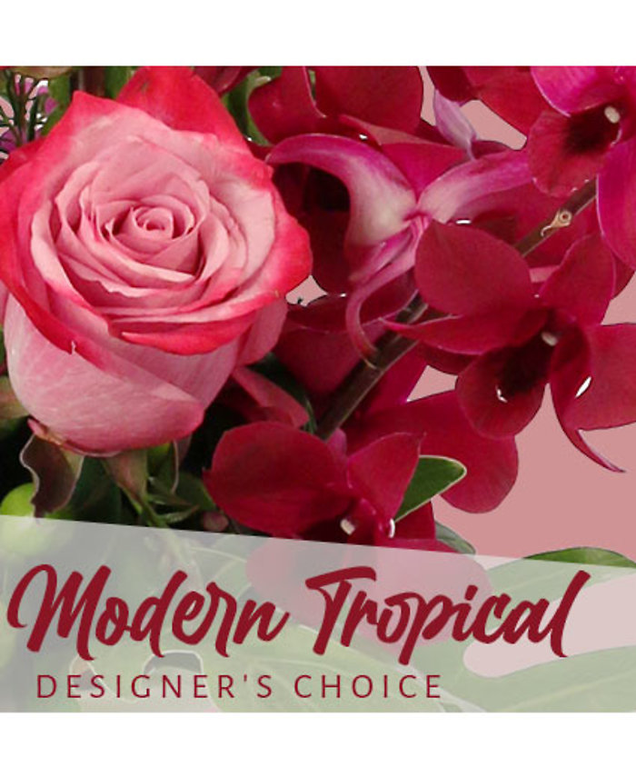 Modern Tropical Designers Choice