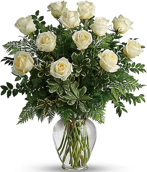 A Dozen White Roses